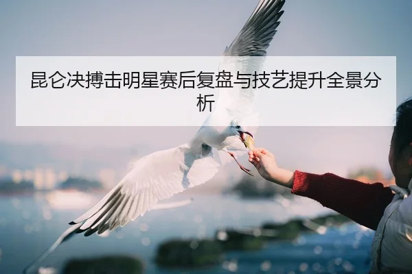 昆仑决搏击明星赛后复盘与技艺提升全景分析