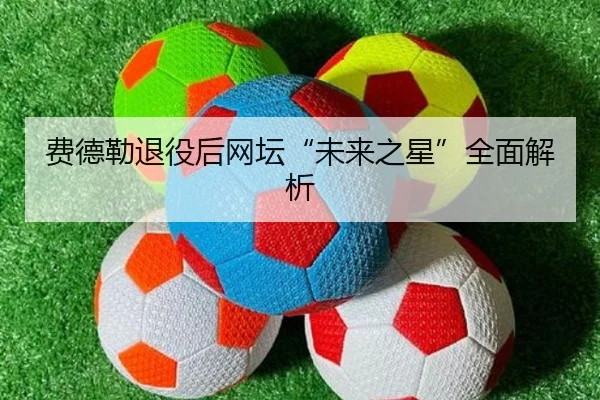 费德勒退役后网坛“未来之星”全面解析 | leyu
